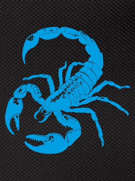 Scorpion