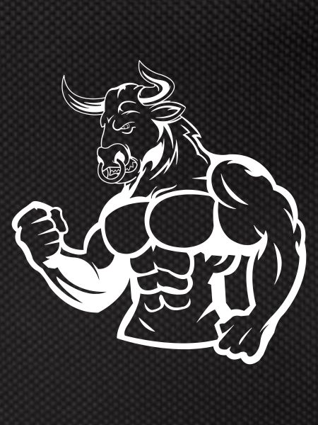 stier 1