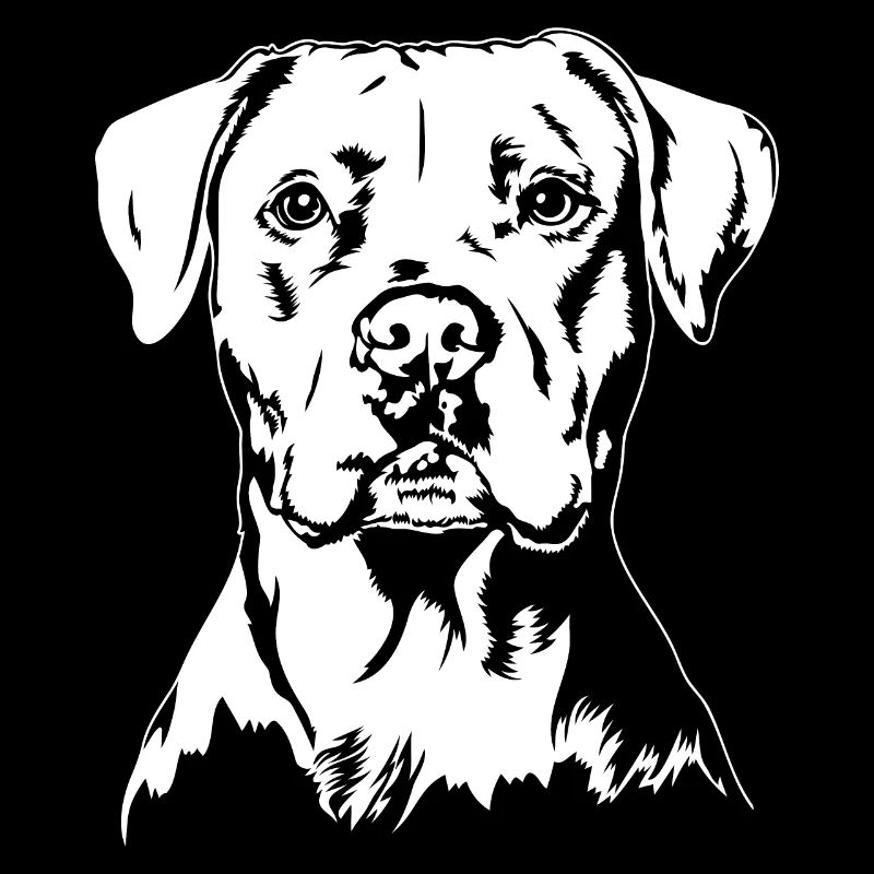 Dogue Argentin Portrait Chien Chien Wilsigns