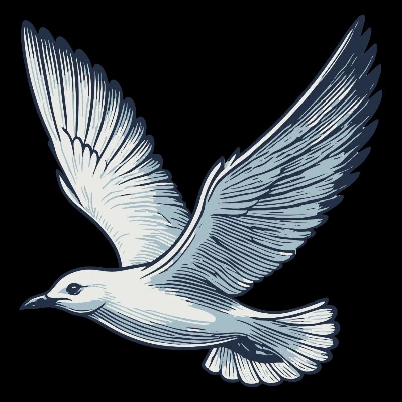 Möwe