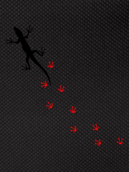 Gecko