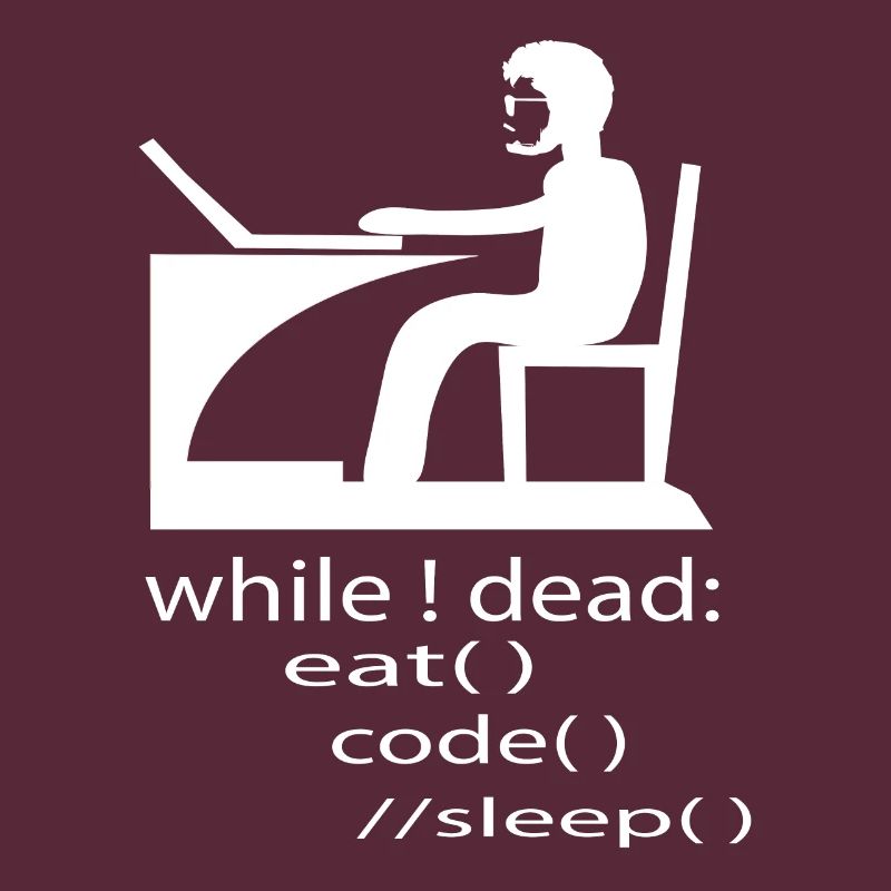 Softwareentwickler Programmierer Geschenk