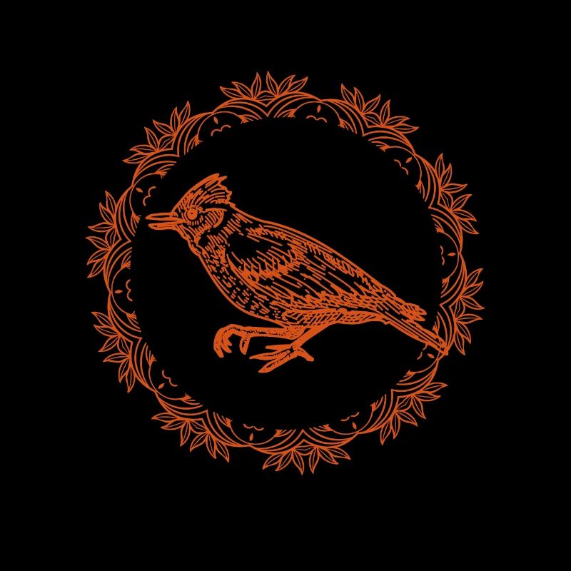 Bird - Flying - Nature Conservation Animal Lover - Forest