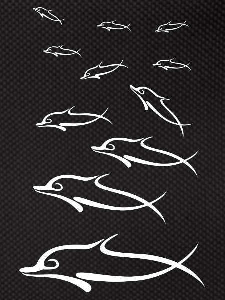 Dolphins white group