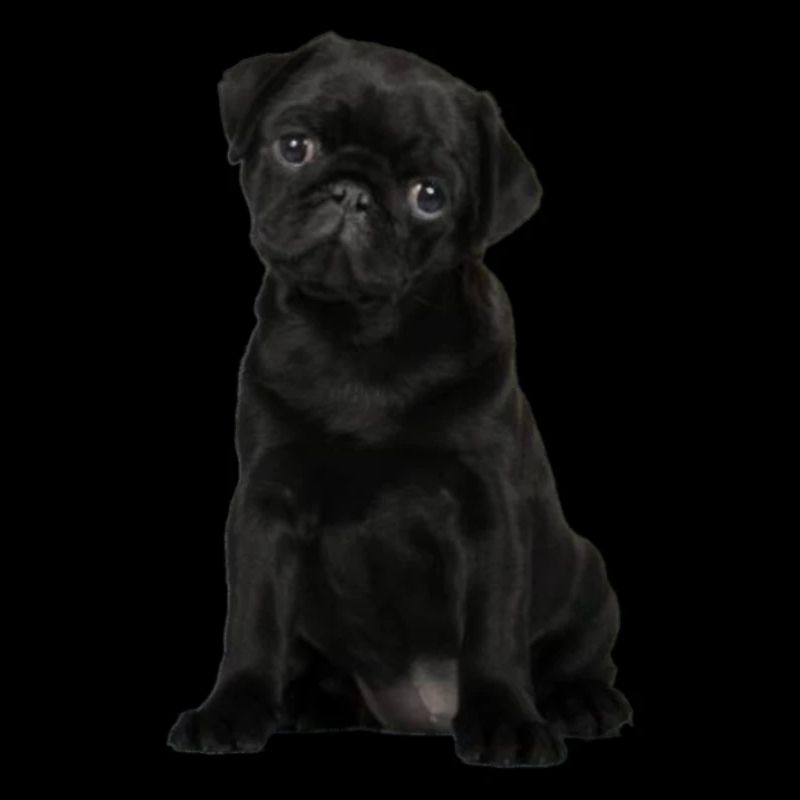 006 PS-WELPE-SCHWARZ-20