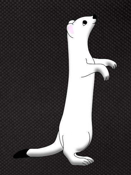 Ermine