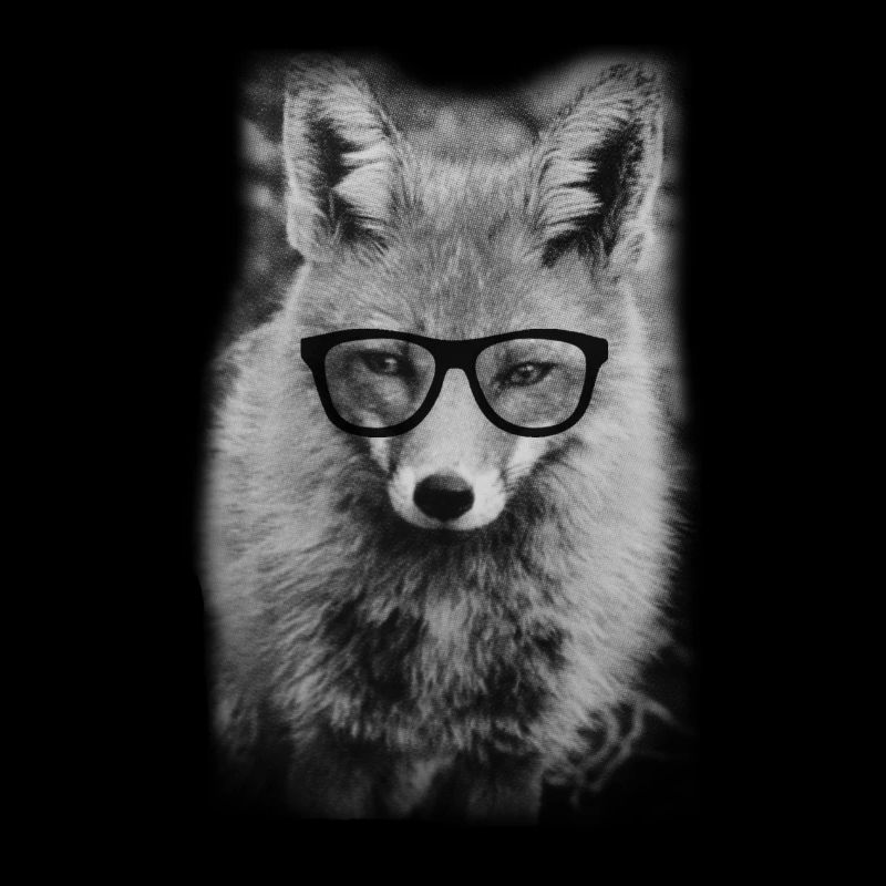 Fuchs mit Nerdbrille / Fox / Brille / Foto / Bild