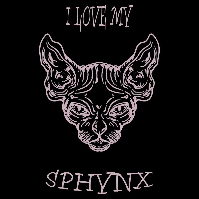 Chat nu Sphynx chat