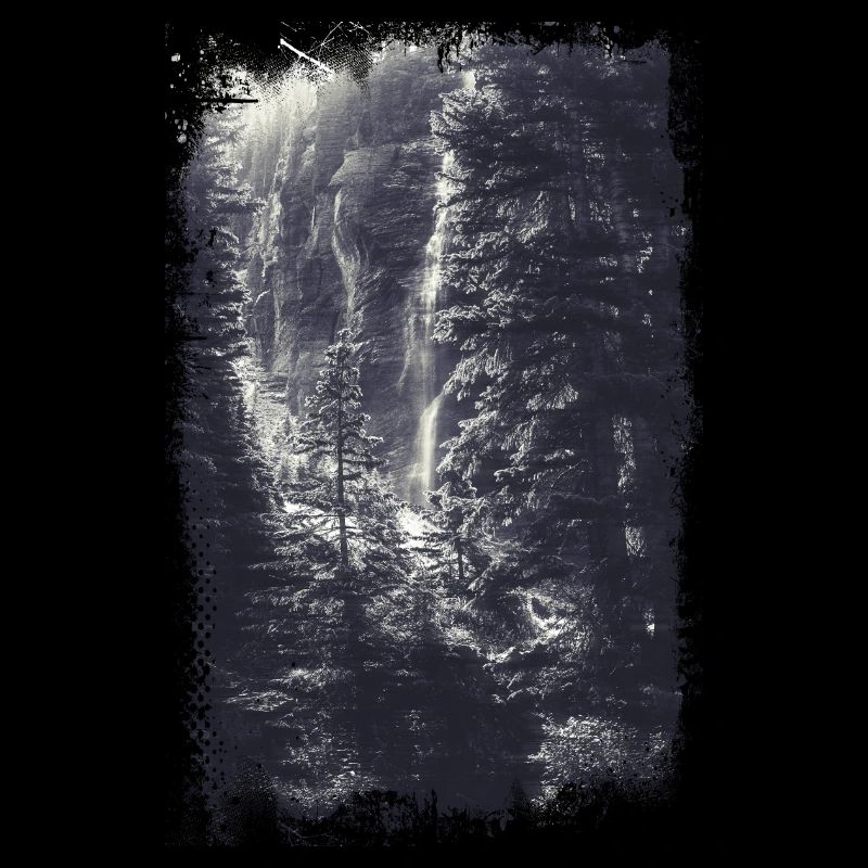Forest view landscape