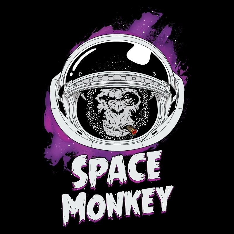 Singe de l'espace vintage