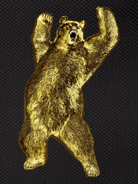 Powerful bear appearance