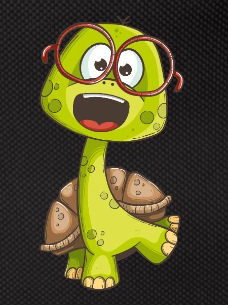 Funny turtle