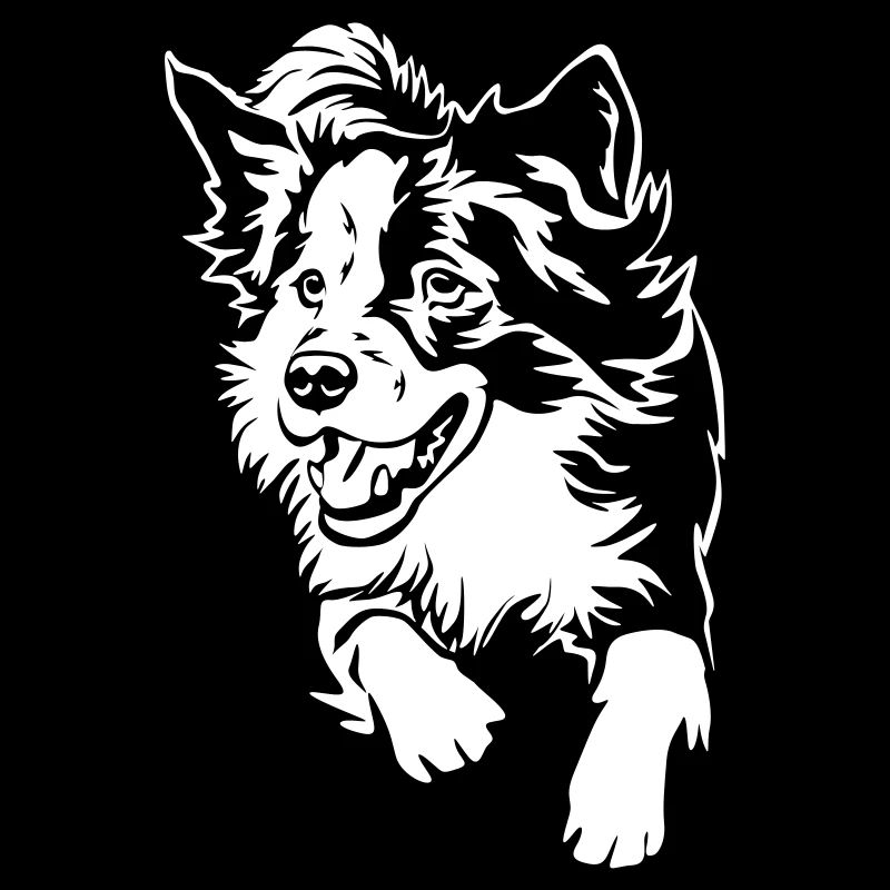 Border Collie "Black Edition