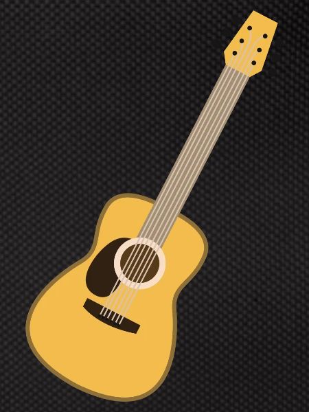 acoustic guitar