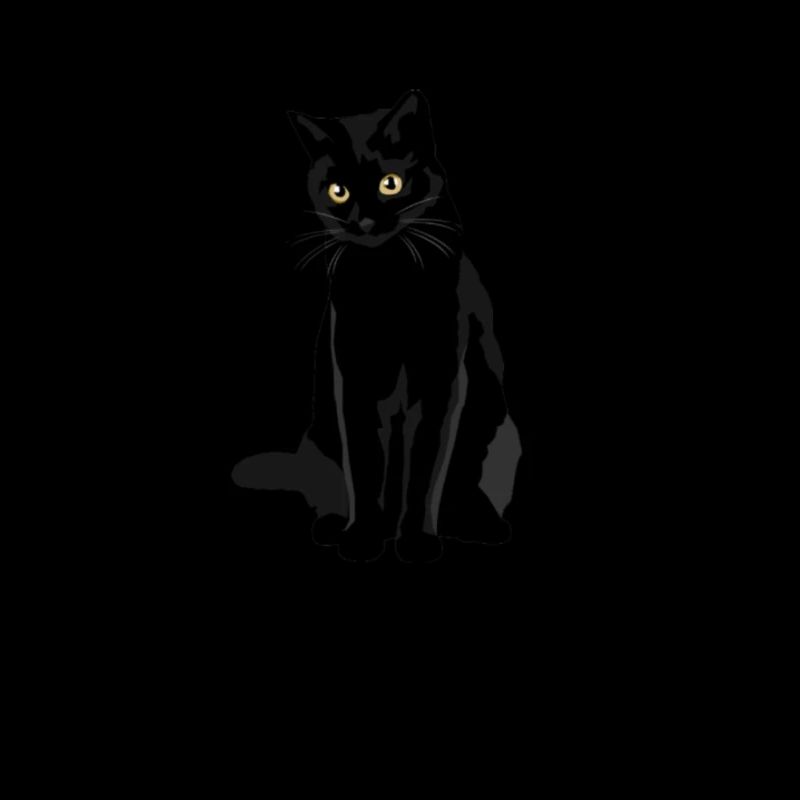 Black cat Papa