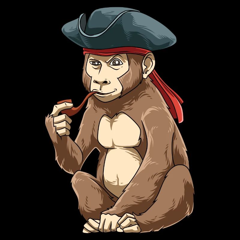 Drôle de pirate Caraïbes
