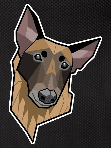 Geometric Malinois