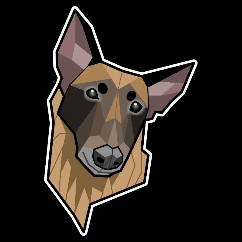 Geometric Malinois