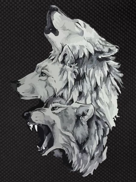 Three wolves