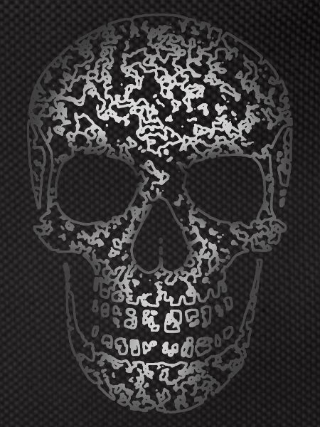 Skull Structure R6Z