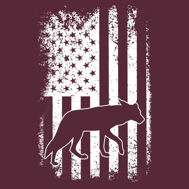 Conception de coyote pour les réacteurs de coyote