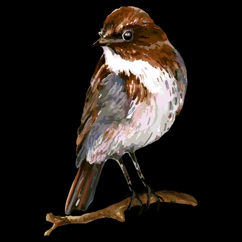 Oiseau
