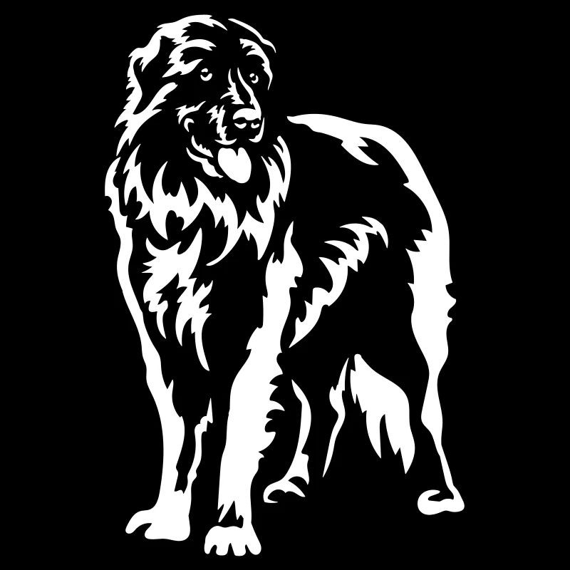 Estrela Berghund "Black Edition"