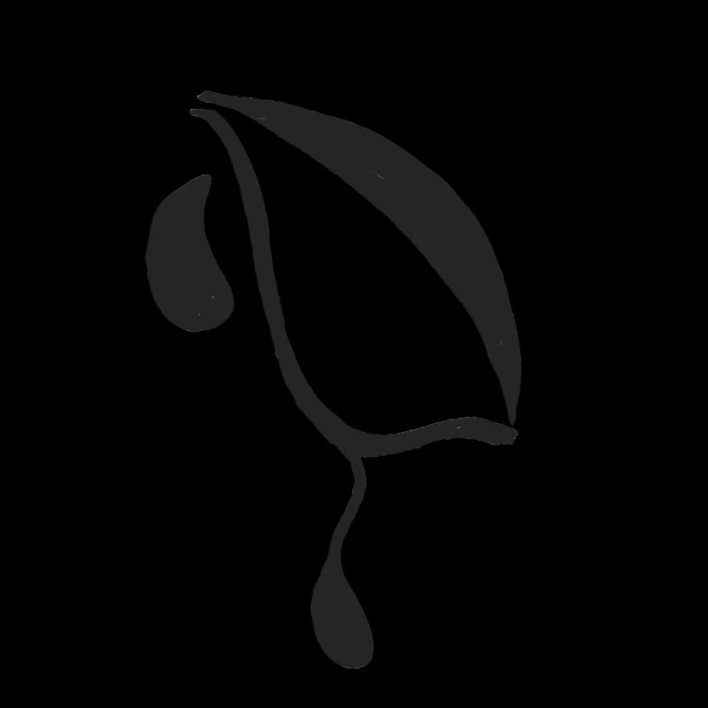 Ein weiterer Eyelagrimas