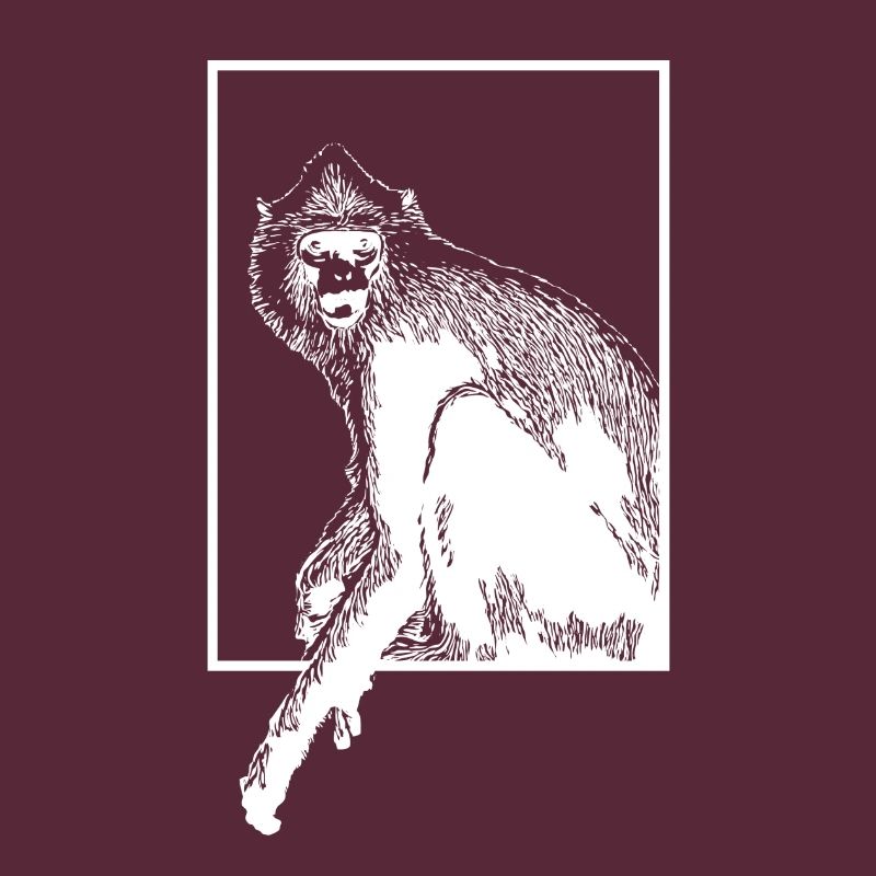 Monkey HanumanLangure