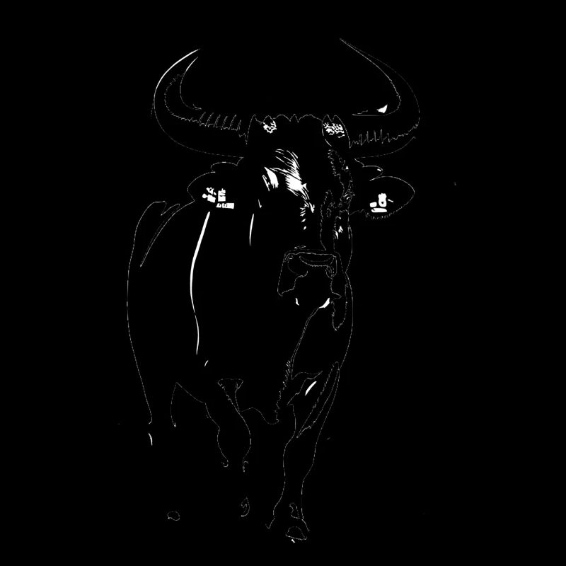 STIER