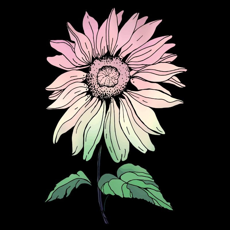 Blume