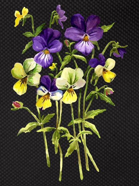 Fleur