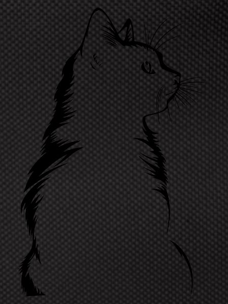 Chat, Motif De Chat