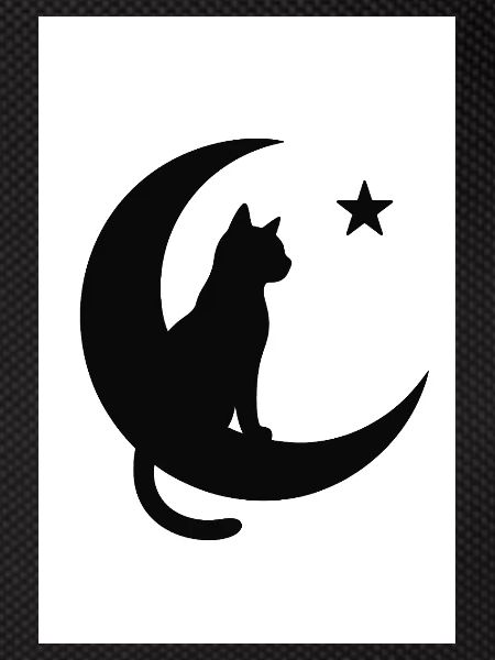 Moon cat on moon shadow