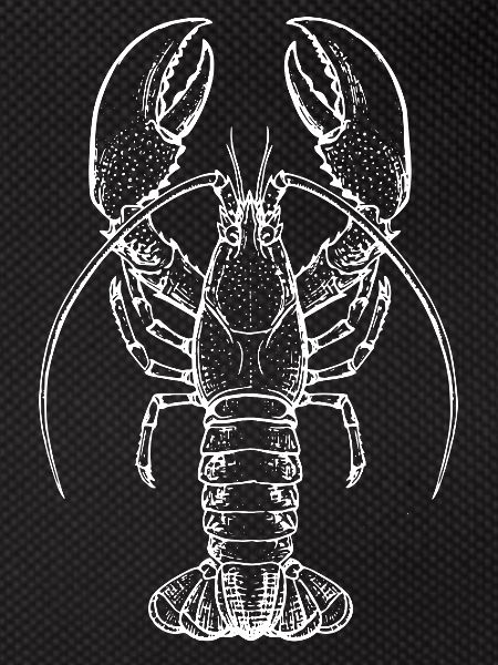 Lobster Lineart Silhouette