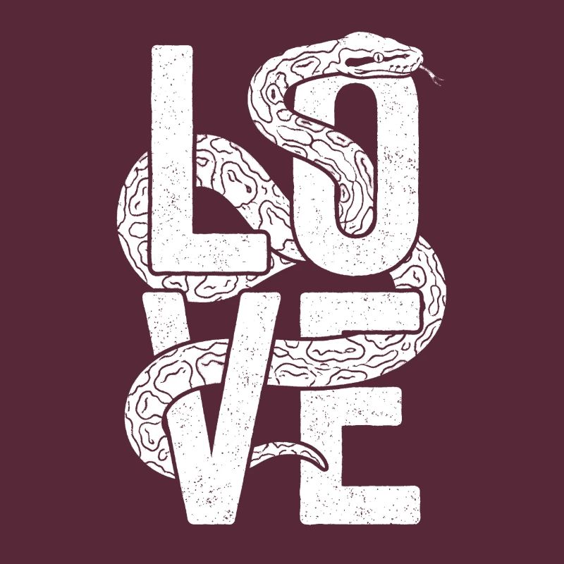 King Python Snakes LOVE Terrarium Python