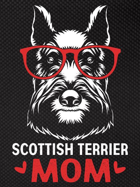 Scottish Terrier