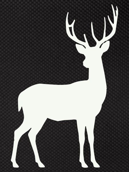 Deer silhouette in the moonlight