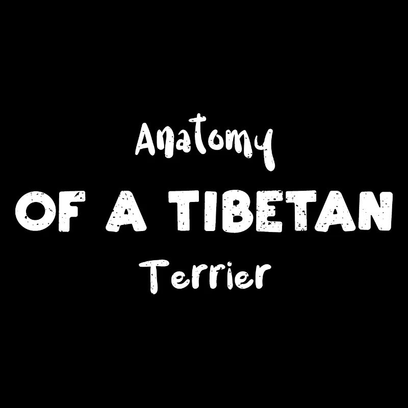 Anatomie d’un terrier tibétain
