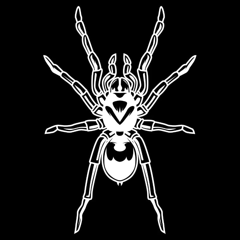 Spider Tarantula Tarantula