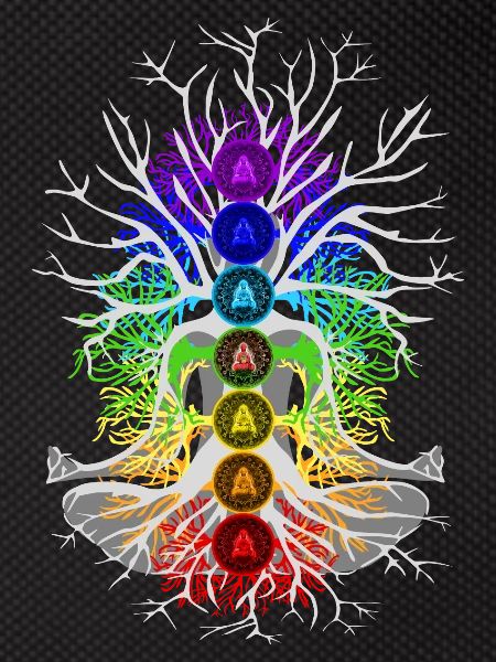 Chakra Harmony