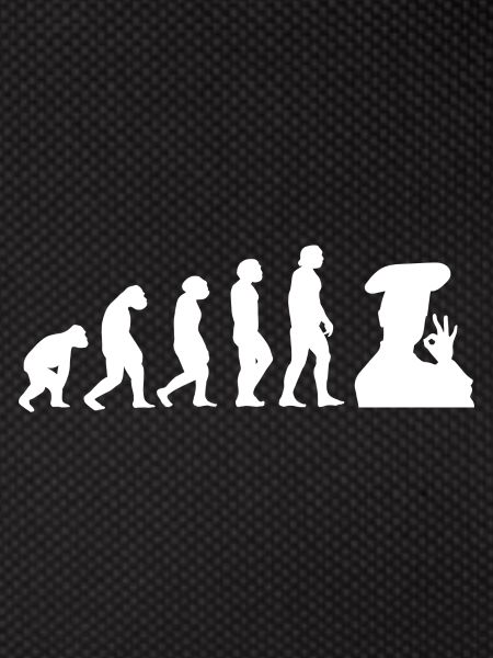 Evolution Koch
