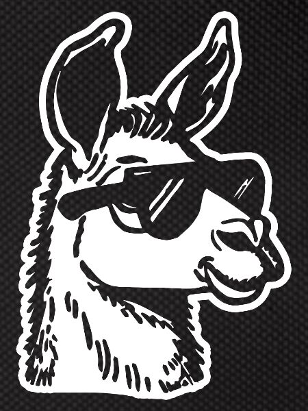 Lama