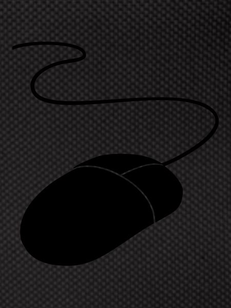 computer mouse