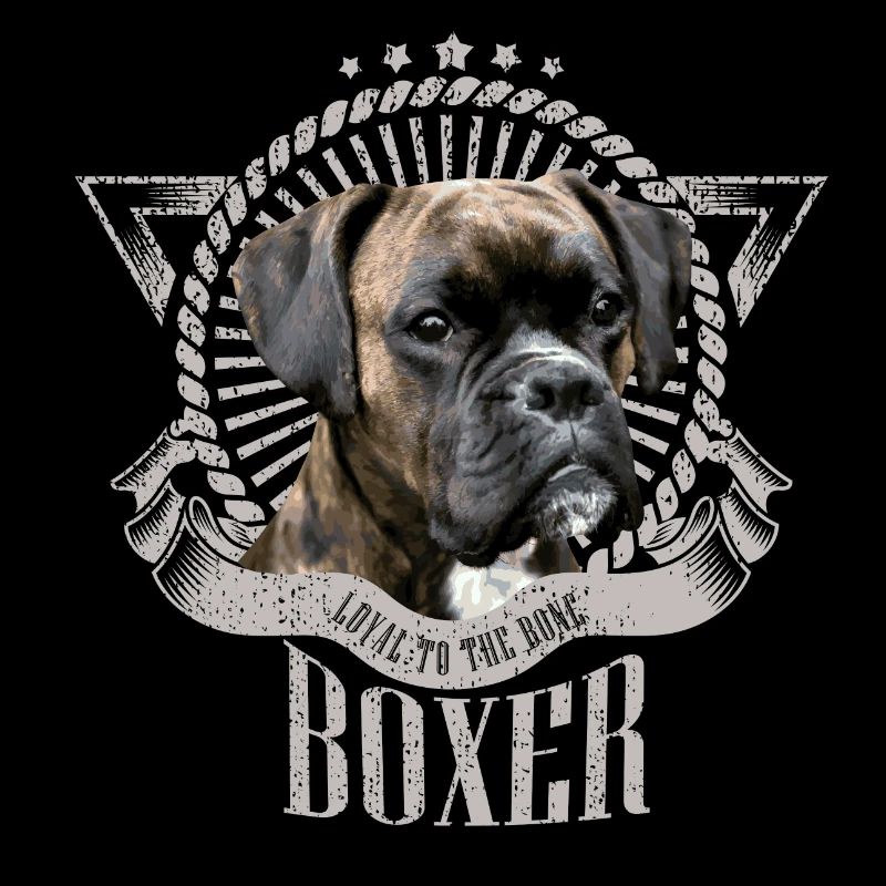 Boxer dog