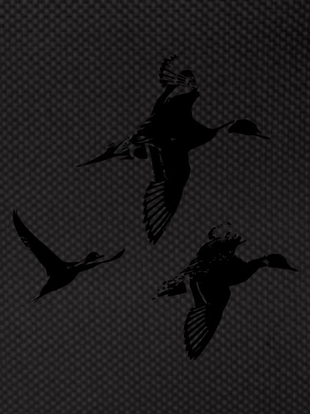 groupe canards pillet