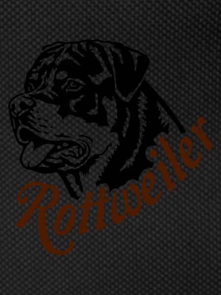 569 Rottweiler dog