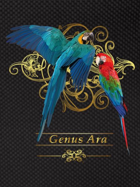 Macaws