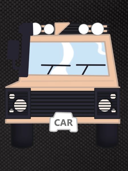 4x4 bush car