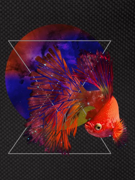 Poissons de l’espace